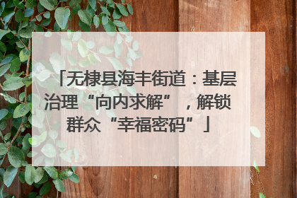 无棣县海丰街道：基层治理“向内求解”，解锁群众“幸福密码”