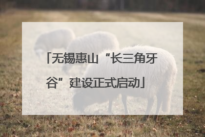 无锡惠山“长三角牙谷”建设正式启动