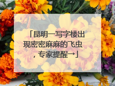 昆明一写字楼出现密密麻麻的飞虫，专家提醒→