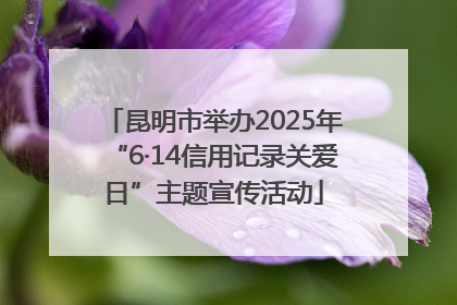 昆明市举办2025年“6·14信用记录关爱日”主题宣传活动