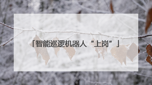 智能巡逻机器人“上岗”