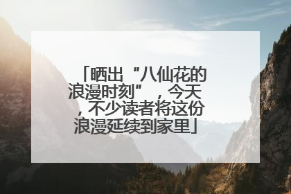 晒出“八仙花的浪漫时刻”，今天，不少读者将这份浪漫延续到家里