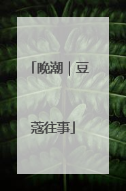 晚潮｜豆蔻往事