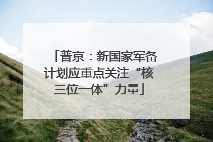 普京：新国家军备计划应重点关注“核三位一体”力量