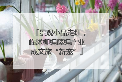 景观小品走红，临沭柳编藤编产业成文旅“新宠”