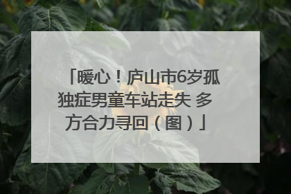 暖心！庐山市6岁孤独症男童车站走失 多方合力寻回（图）