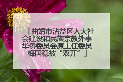 曲靖市沾益区人大社会建设和民族宗教外事华侨委员会原主任委员梅国稳被“双开”