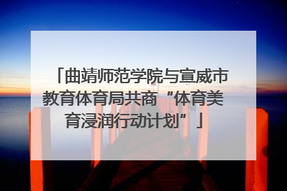 曲靖师范学院与宣威市教育体育局共商“体育美育浸润行动计划”