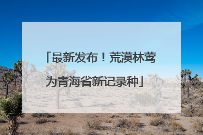 最新发布！荒漠林莺为青海省新记录种