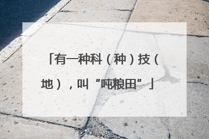 有一种科（种）技（地），叫“吨粮田”