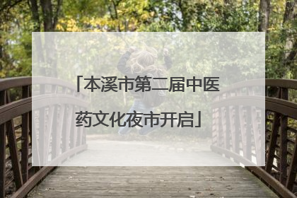 本溪市第二届中医药文化夜市开启
