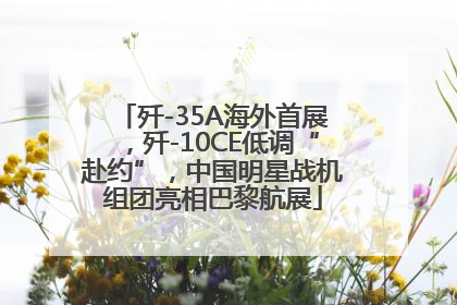 歼-35A海外首展，歼-10CE低调“赴约”，中国明星战机组团亮相巴黎航展