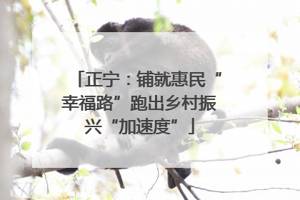 正宁：铺就惠民“幸福路”跑出乡村振兴“加速度”