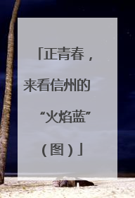 正青春，来看信州的“火焰蓝”（图）