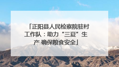 正阳县人民检察院驻村工作队：助力“三夏”生产 确保粮食安全