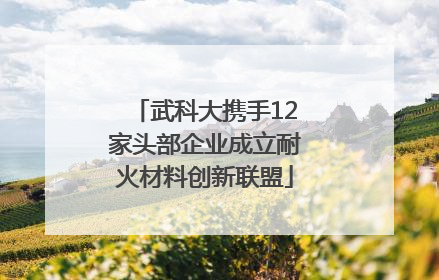 武科大携手12家头部企业成立耐火材料创新联盟
