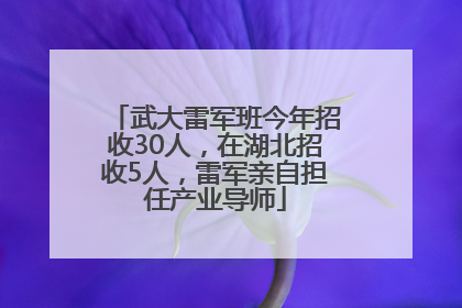 武大雷军班今年招收30人，在湖北招收5人，雷军亲自担任产业导师