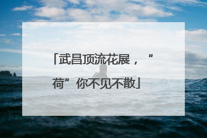 武昌顶流花展，“荷”你不见不散