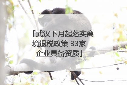 武汉下月起落实离境退税政策 33家企业具备资质