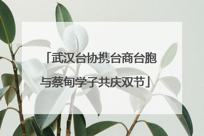 武汉台协携台商台胞与蔡甸学子共庆双节
