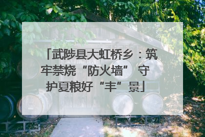 武陟县大虹桥乡：筑牢禁烧“防火墙” 守护夏粮好“丰”景