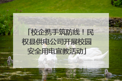 校企携手筑防线！民权县供电公司开展校园安全用电宣教活动