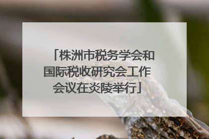 株洲市税务学会和国际税收研究会工作会议在炎陵举行