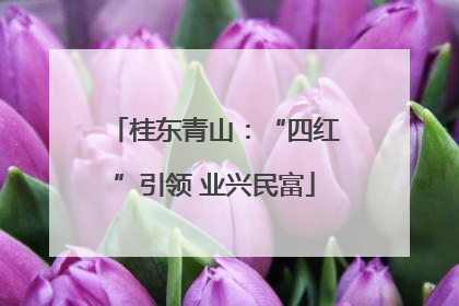 桂东青山：“四红”引领 业兴民富