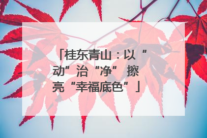 桂东青山：以“动”治“净” 擦亮“幸福底色”