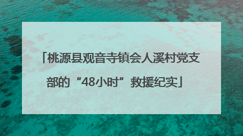 桃源县观音寺镇会人溪村党支部的“48小时”救援纪实
