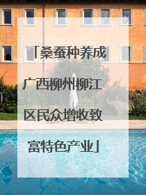 桑蚕种养成广西柳州柳江区民众增收致富特色产业