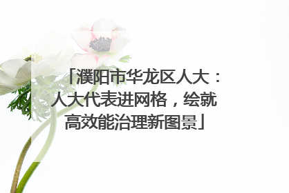 濮阳市华龙区人大：人大代表进网格，绘就高效能治理新图景