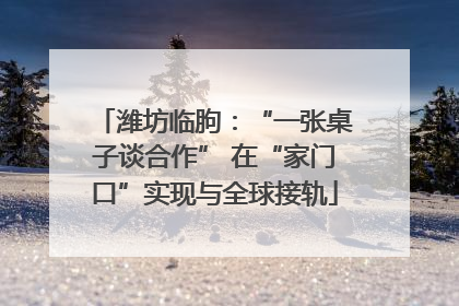 潍坊临朐：“一张桌子谈合作” 在“家门口”实现与全球接轨