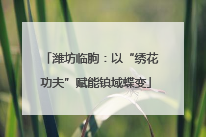 潍坊临朐：以“绣花功夫”赋能镇域蝶变