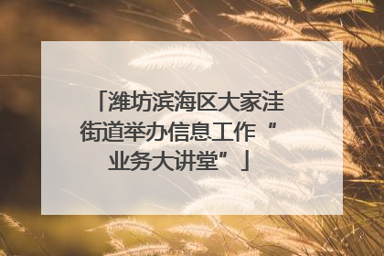 潍坊滨海区大家洼街道举办信息工作“业务大讲堂”