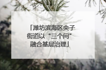 潍坊滨海区央子街道以“三个问”融合基层治理