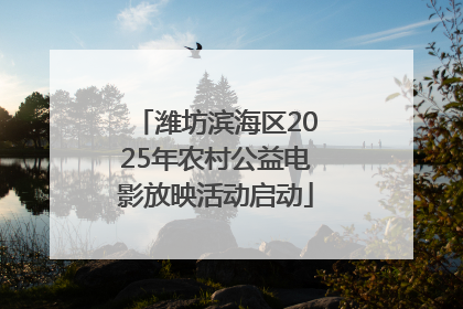潍坊滨海区2025年农村公益电影放映活动启动