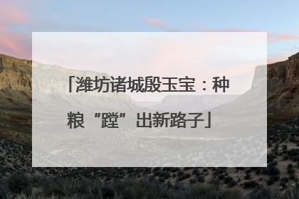 潍坊诸城殷玉宝：种粮“蹚”出新路子