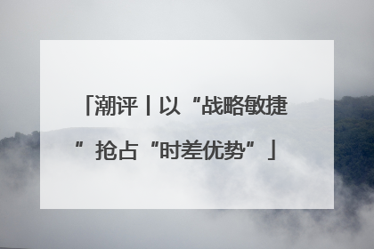 潮评丨以“战略敏捷”抢占“时差优势”