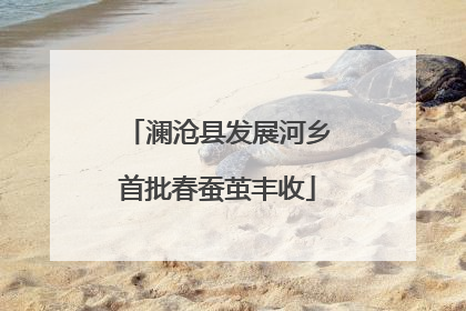 澜沧县发展河乡首批春蚕茧丰收