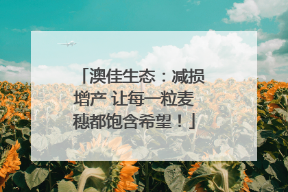 澳佳生态：减损增产 让每一粒麦穗都饱含希望！