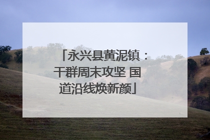 永兴县黄泥镇：干群周末攻坚 国道沿线焕新颜