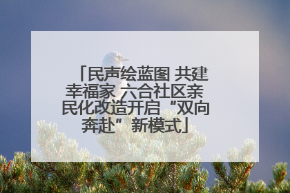 民声绘蓝图 共建幸福家 六合社区亲民化改造开启“双向奔赴”新模式