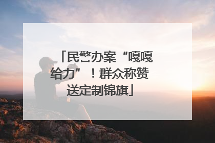 民警办案“嘎嘎给力”！群众称赞送定制锦旗