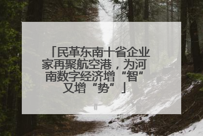 民革东南十省企业家再聚航空港，为河南数字经济增“智”又增“势”
