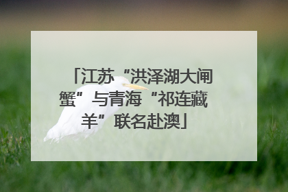 江苏“洪泽湖大闸蟹”与青海“祁连藏羊”联名赴澳