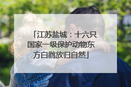 江苏盐城：十六只国家一级保护动物东方白鹳放归自然