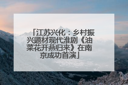 江苏兴化：乡村振兴题材现代淮剧《油菜花开燕归来》在南京成功首演