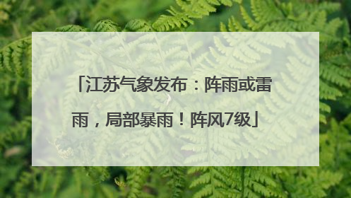 江苏气象发布：阵雨或雷雨，局部暴雨！阵风7级