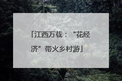 江西万载：“花经济”带火乡村游